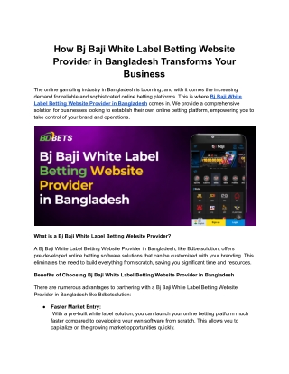 BJ Baji White Label Betting Website Provider in Bangladesh