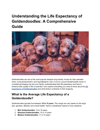 Understanding the Life Expectancy of Goldendoodles_ A Comprehensive Guide