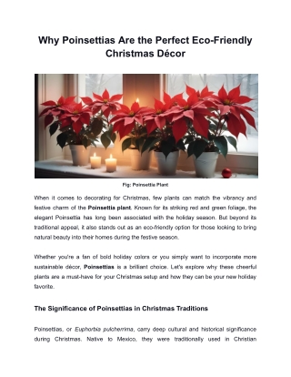 Poinsettias - Eco-Friendly Christmas Décor with Timeless Charm