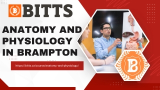 Are You Searching For Anatomy and Physiology in Brampton