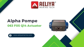 Alpha Pompe 063 F05 Q14 Actuator