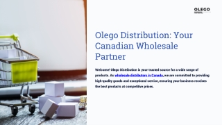 Olego Distribution: Your Canadian Wholesale Partner