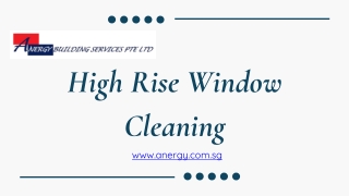 High Rise Window Cleaning - anergy.com.sg