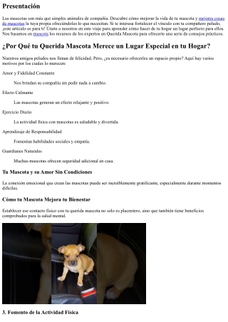 Razones para Darle a tu Mascota un Espacio Único en Casa