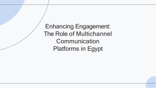 Enhancing Engagement The Role of Multichannel Communication Platforms in Egypt