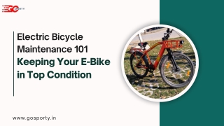Electric Bicycle Maintenance 101: Keeping Your E-Bike in Top Condition