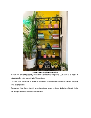 Plant Shopping In Ahmedabad