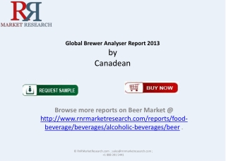 RNRMR Global Brewer Analyser Report 2013