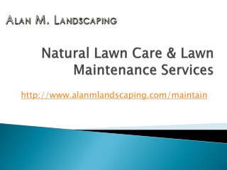 Natural Lawn Care