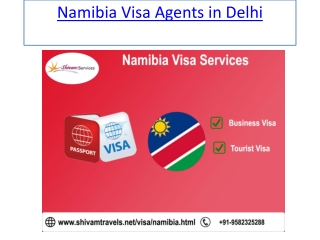 Namibia Visa Agents in Delhi