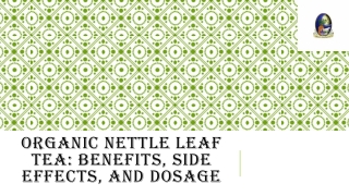 Organic Nettle Leaf Tea Benefits