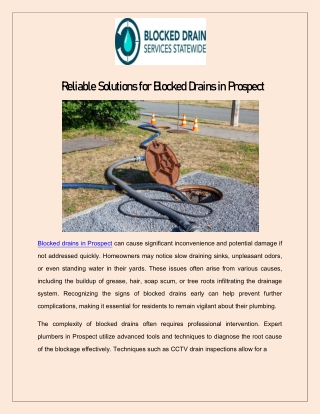 Blocked Drains Prospect