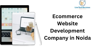 Ecommerce Website Development