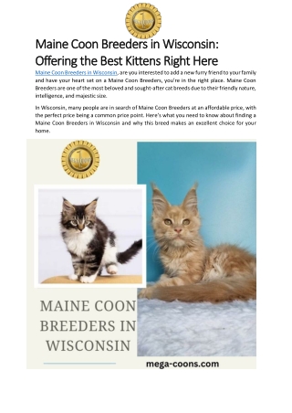 Maine Coon Breeders in Wisconsin-Offering the Best Kittens Right Here