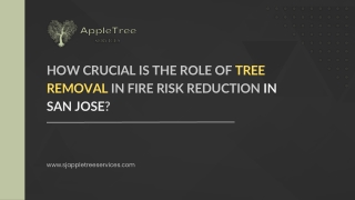 How Crucial is the Role of Tree Removal in Fire Risk Reduction in San Jose