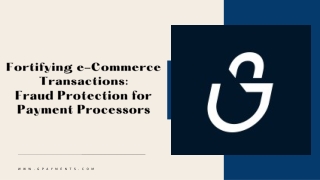 Fortifying e-Commerce Transactions Fraud Protection for Payment Processors