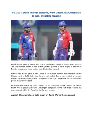 IPL 2025_ David Warner Exposed, Went Unsold at Auction Due to 'non-cricketing reasons'