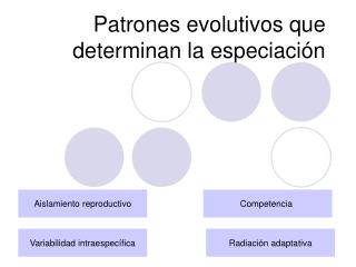 Patrones evolutivos que determinan la especiación