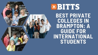 Best Private Colleges in Brampton A Guide for International Students