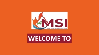 MSI Mold Solutions And Inspections Services