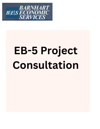 How EB-5 Project Consultation Can Help Investors Succeed?