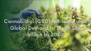 Cannabidiol  (CBD) Nutraceuticals - A Global Market Overview