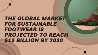 Sustainable Footwear - A Global Market Overview