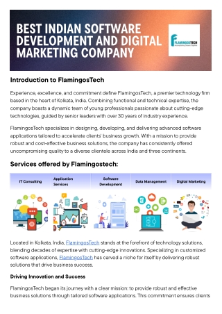 FlamingosTech:Best Indian software development and d