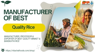 The Golden Grain: Exploring the Richness of Dainik Rice