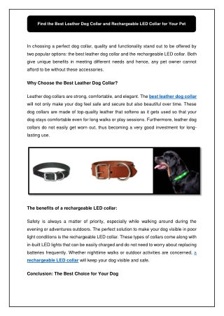 Find the Best Leather Dog Collar and Rechargeable LED Collar for Your Pet