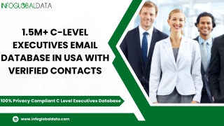 Benefits of C-Level Executives Email Database