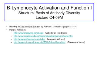B-Lymphocyte Activation and Function I Structural Basis of Antibody Diversity Lecture C4-09M