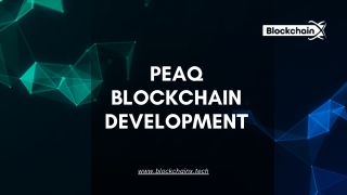 PEAQ Blockchain Developer