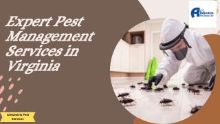 Expert Pest Management Services in Virginia