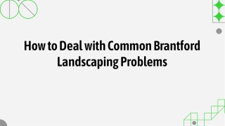 How to Deal With Common Brantford Landscaping Problems