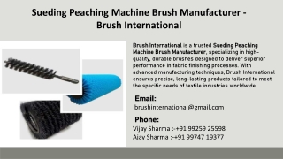 Sueding Peaching Machine Brush Manufacturer - Brush International