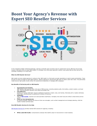 Boost Your Agency's Revenue with Expert SEO Reseller Services