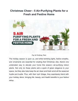 5 Air-Purifying Plants for a Fresh and Festive Home