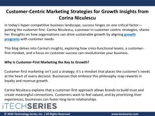 Customer-Centric Marketing Strategies for Growth Insights from Corina Niculescu