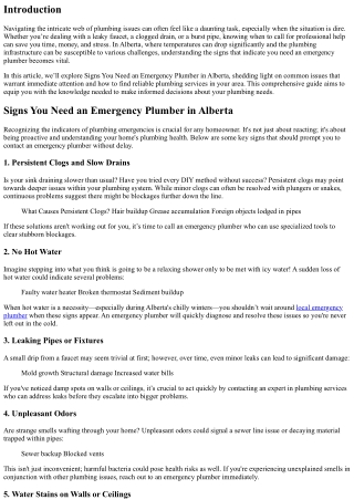 Signs You Need an Emergency Plumber in Alberta