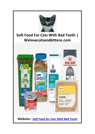 Soft Food For Cats With Bad Teeth  Welovecatsandkittens.com