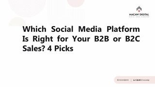 Which Social Media Platform Is Right for Your B2B or B2C Sales - Macaw Digital