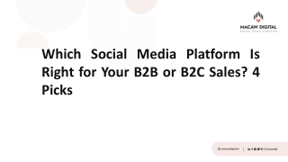 Which Social Media Platform Is Right for Your B2B or B2C Sales - Macaw Digital