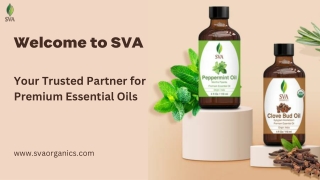 SVA | Your Trusted Partner for Premium Essential Oils