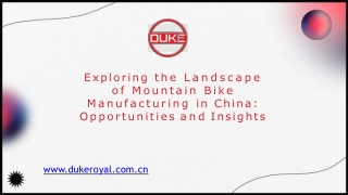 Explore the Premier Hub for Mountain Bike Manufacturing in China – Duke Royal