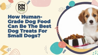 How Human-Grade Dog Food Can Be The Best Dog Treats For Small Dogs?