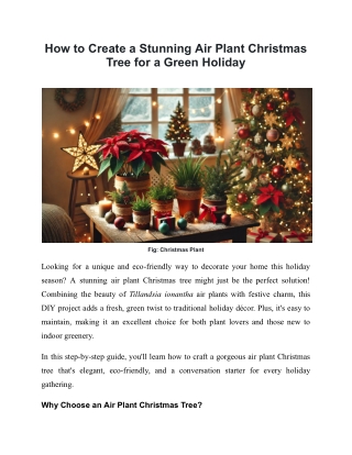 Create a Stunning Air Plant Christmas Tree for the Holidays