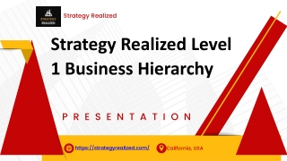 Strategy Realized Level 1 Business Hierarchy