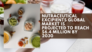 Nutraceutical Excipients - A Global Market Overview