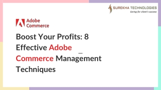 Boost Your Profits 8 Effective Adobe Commerce Management Techniques